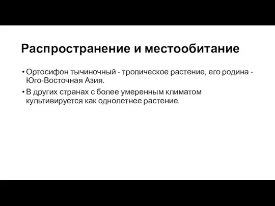 Распространение и местообитание Ортосифон тычиночный - тропическое растение, его родина -