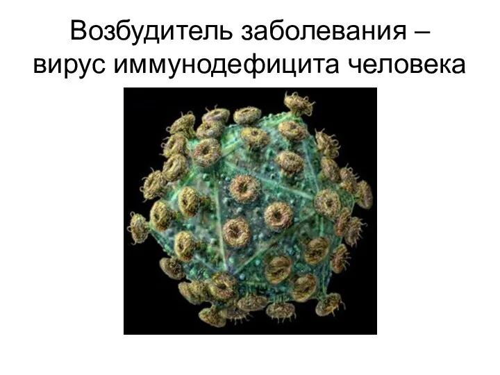 Возбудитель заболевания – вирус иммунодефицита человека