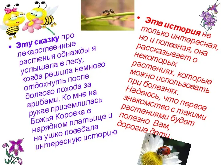 Эту сказку про лекарственные растения однажды я услышала в лесу, когда