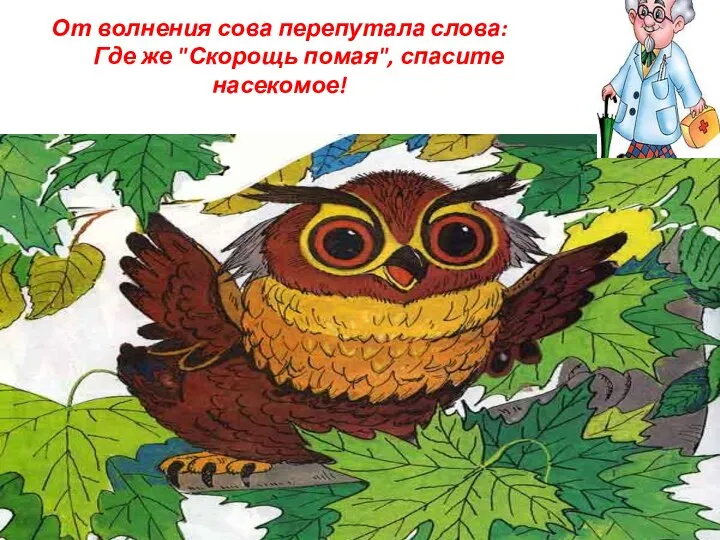 От волнения сова перепутала слова: Где же "Скорощь помая", спасите насекомое!