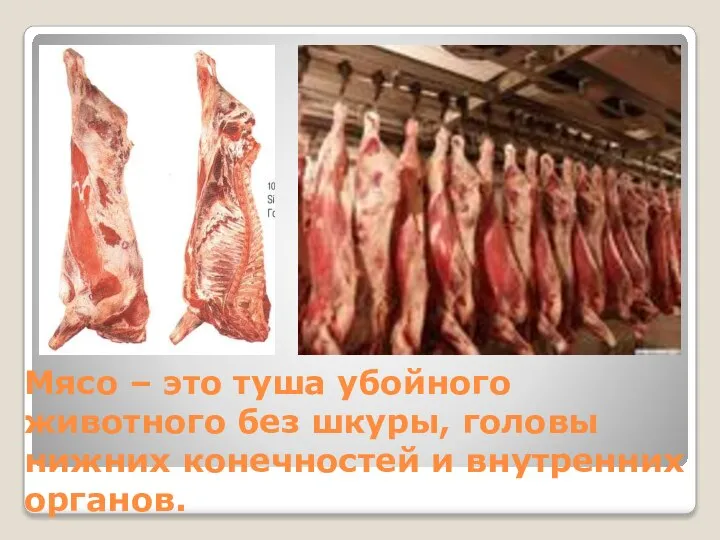 Мясо – это туша убойного животного без шкуры, головы нижних конечностей и внутренних органов.