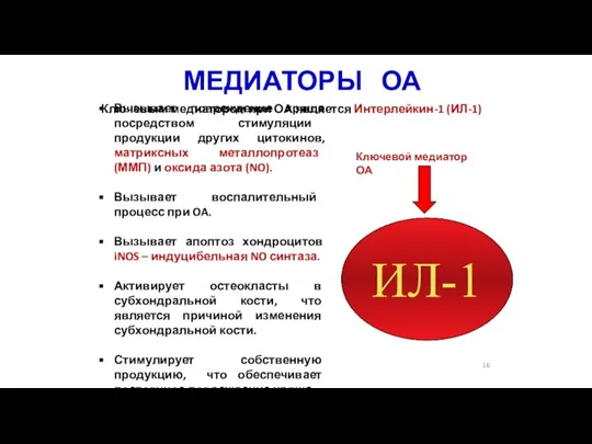 МЕДИАТОРЫ ОА Вызывает повреждение хряща посредством стимуляции продукции других цитокинов, матриксных