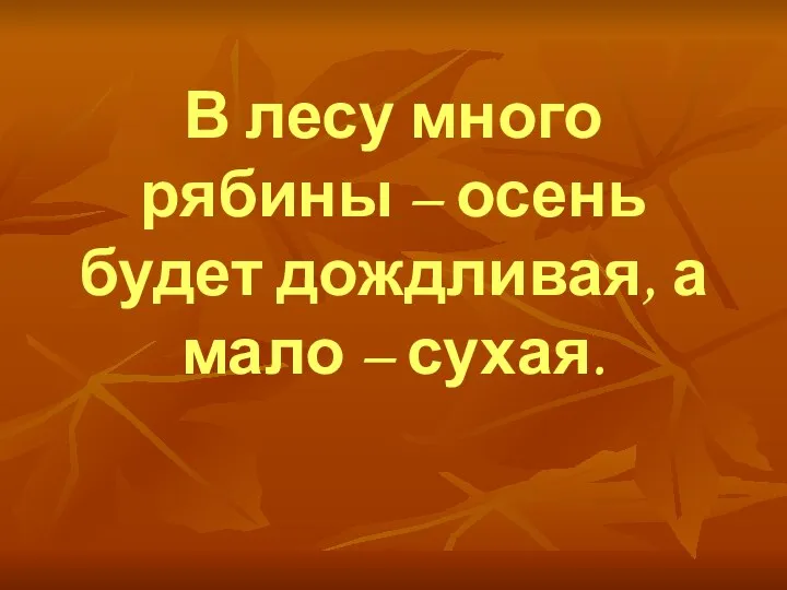 В лесу много рябины – осень будет дождливая, а мало – сухая.