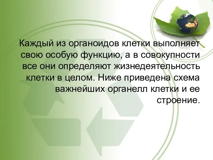 Каждый из органоидов клетки выполняет свою особую функцию, а в совокупности