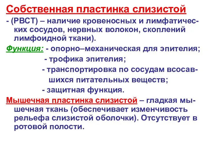 Собственная пластинка слизистой - (РВСТ) – наличие кровеносных и лимфатичес-ких сосудов,