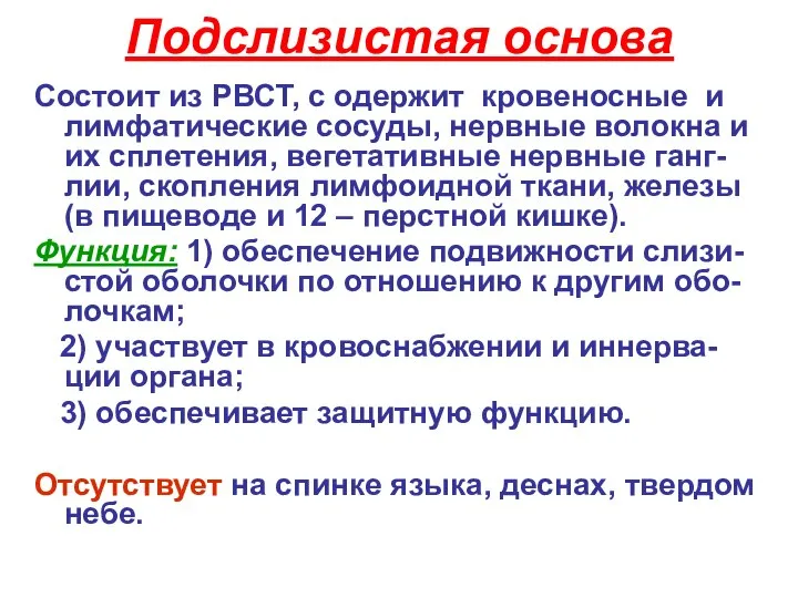 Подслизистая основа Состоит из РВСТ, с одержит кровеносные и лимфатические сосуды,