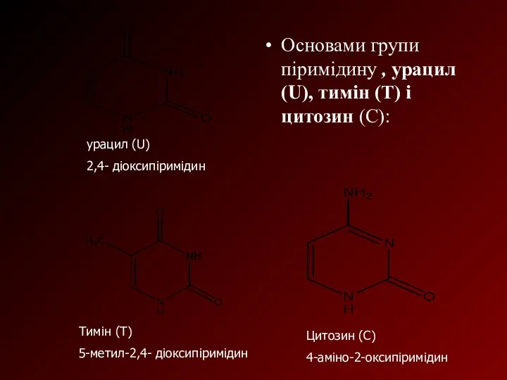 Основами групи піримідину , урацил (U), тимін (Т) і цитозин (С):