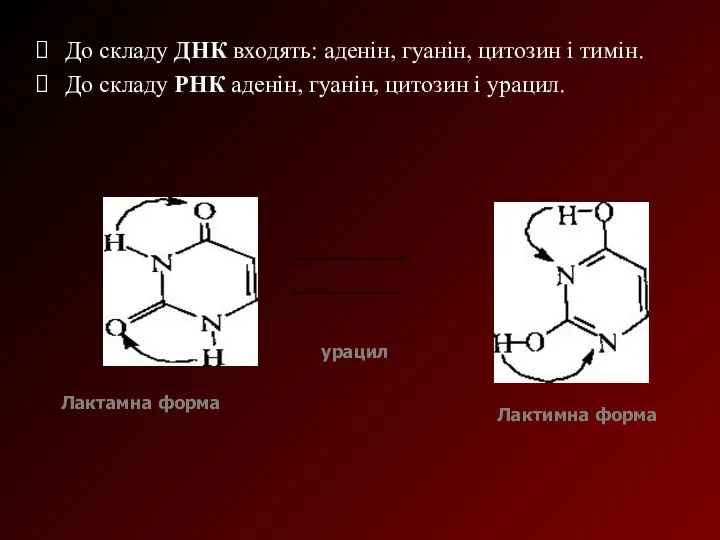 До складу ДНК входять: аденін, гуанін, цитозин і тимін. До складу