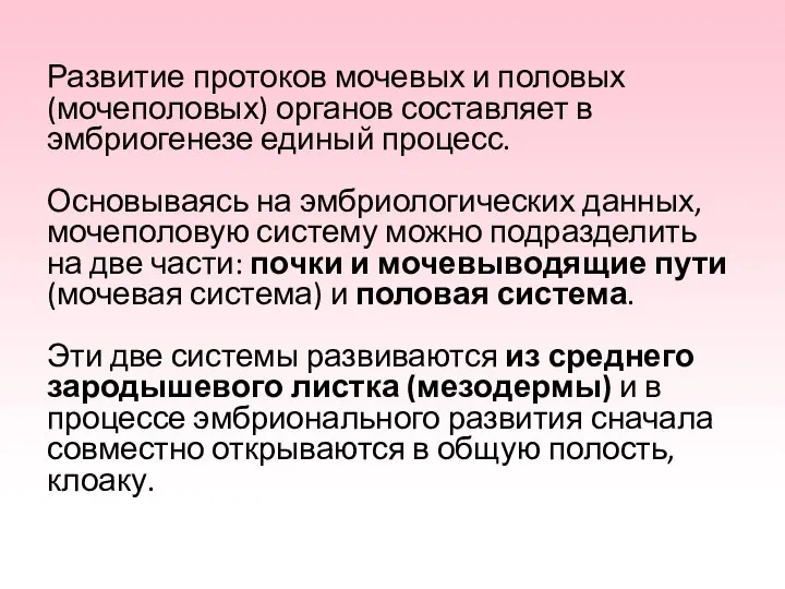 Развитие протоков мочевых и половых (мочеполовых) органов составляет в эмбриогенезе единый