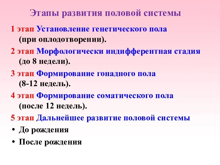 Этапы развития половой системы 1 этап Установление генетического пола (при оплодотворении).