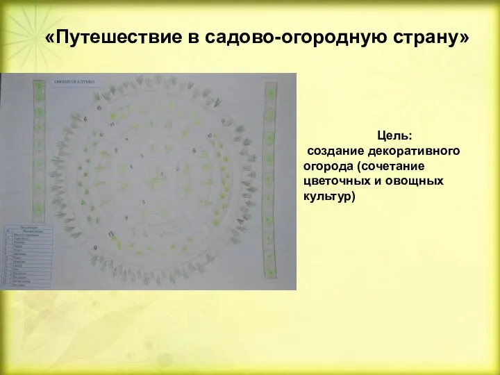 «Путешествие в садово-огородную страну» Цель: создание декоративного огорода (сочетание цветочных и овощных культур)