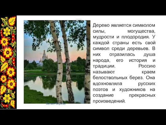 Дерево является символом силы, могущества, мудрости и плодородия. У каждой страны