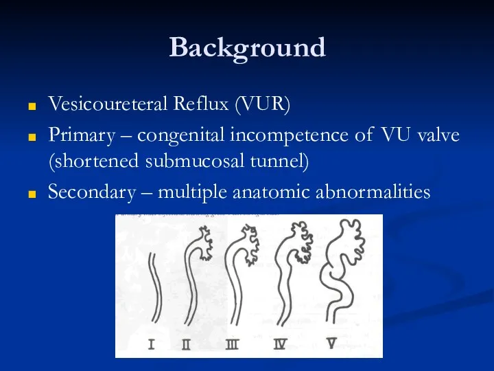 Background Vesicoureteral Reflux (VUR) Primary – congenital incompetence of VU valve