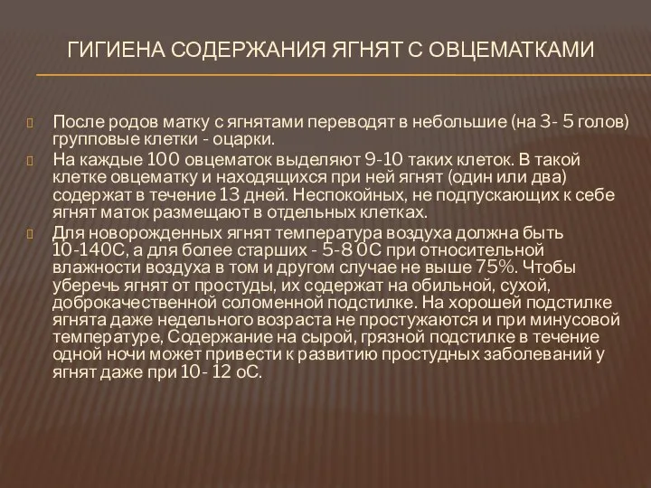 ГИГИЕНА СОДЕРЖАНИЯ ЯГНЯТ С ОВЦЕМАТКАМИ После родов матку с ягнятами переводят