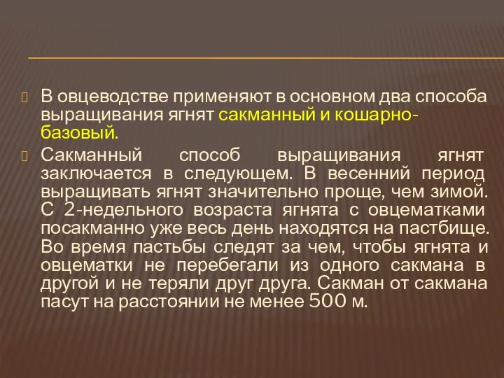 В овцеводстве применяют в основном два способа выращивания ягнят сакманный и