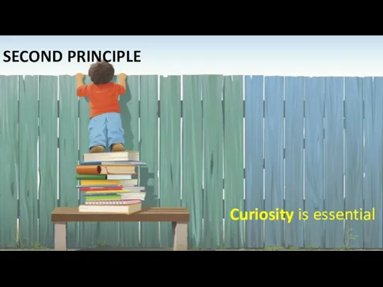 SECOND PRINCIPLE Curiosity is essential