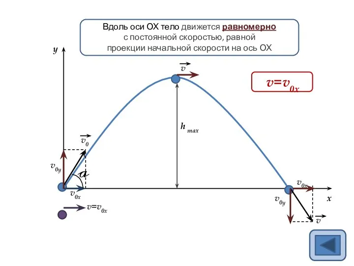 h max y x v0x=v0cosa Вдоль оси ОХ тело движется равномерно