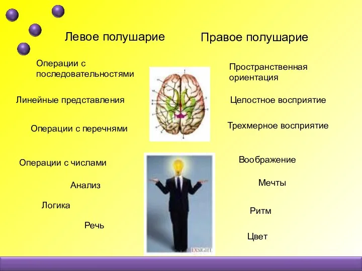 Левое полушарие Правое полушарие Операции с последовательностями Линейные представления Операции с
