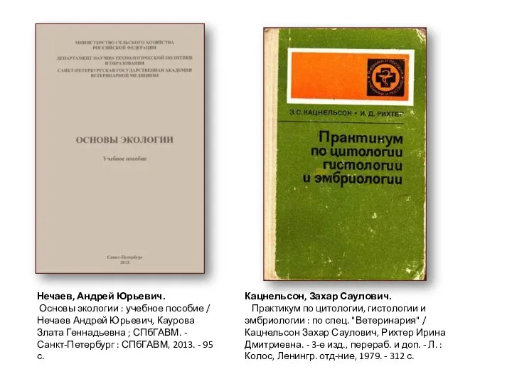 Нечаев, Андрей Юрьевич. Основы экологии : учебное пособие / Нечаев Андрей