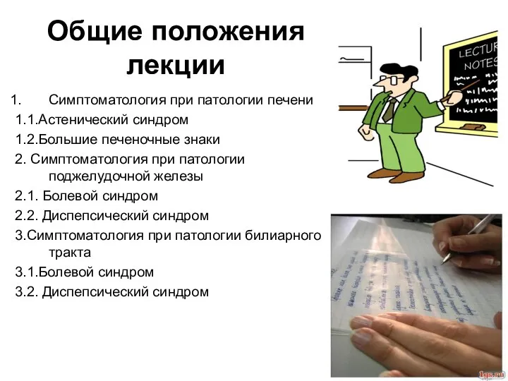 Общие положения лекции Симптоматология при патологии печени 1.1.Астенический синдром 1.2.Большие печеночные