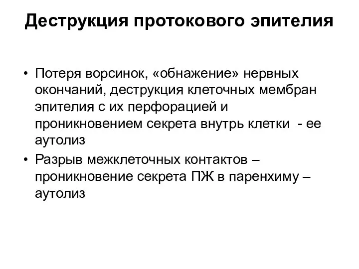 Деструкция протокового эпителия Потеря ворсинок, «обнажение» нервных окончаний, деструкция клеточных мембран