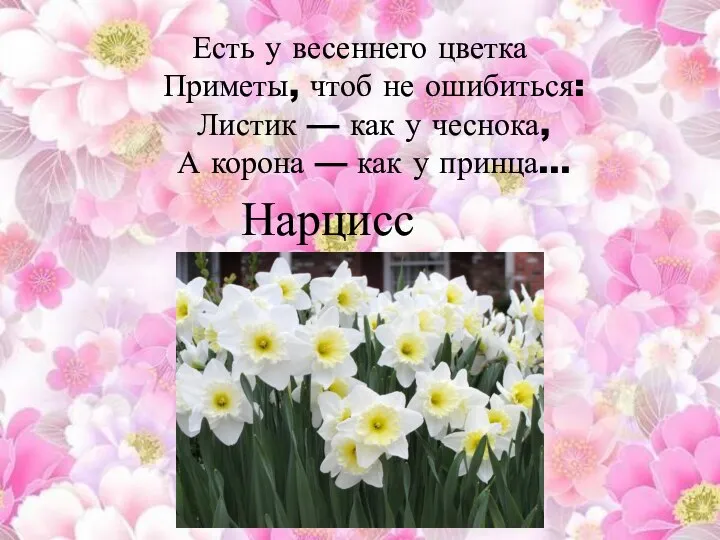 Есть у весеннего цветка Приметы, чтоб не ошибиться: Листик — как