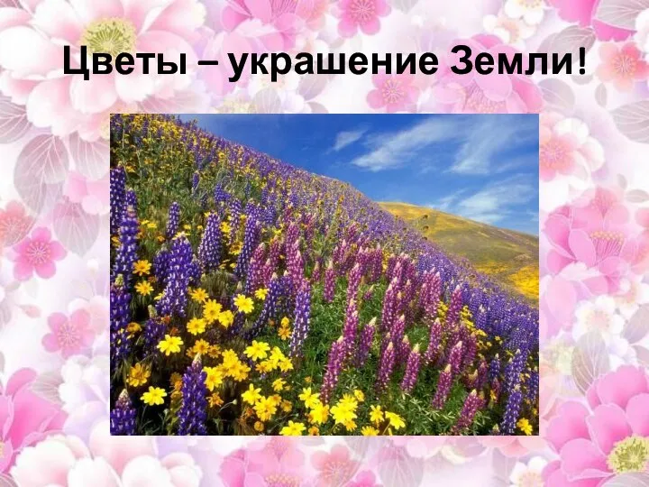 Цветы – украшение Земли!