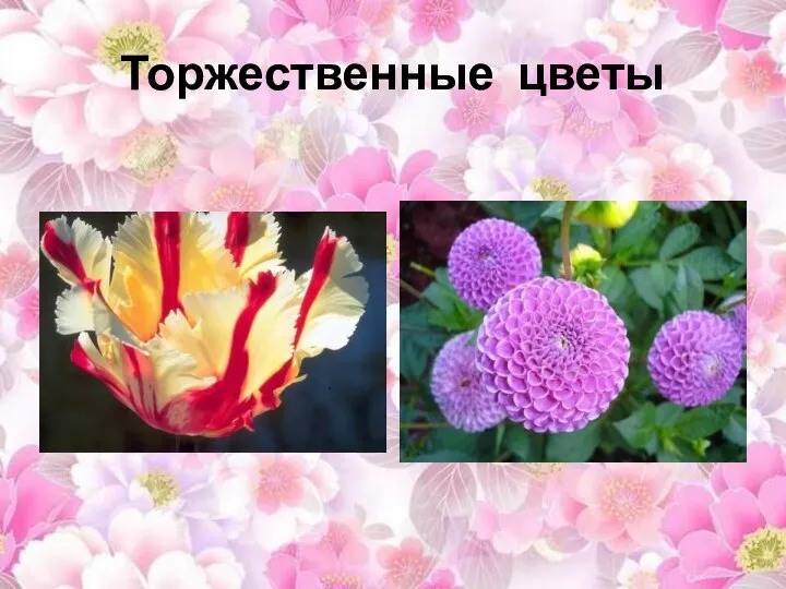 Торжественные цветы