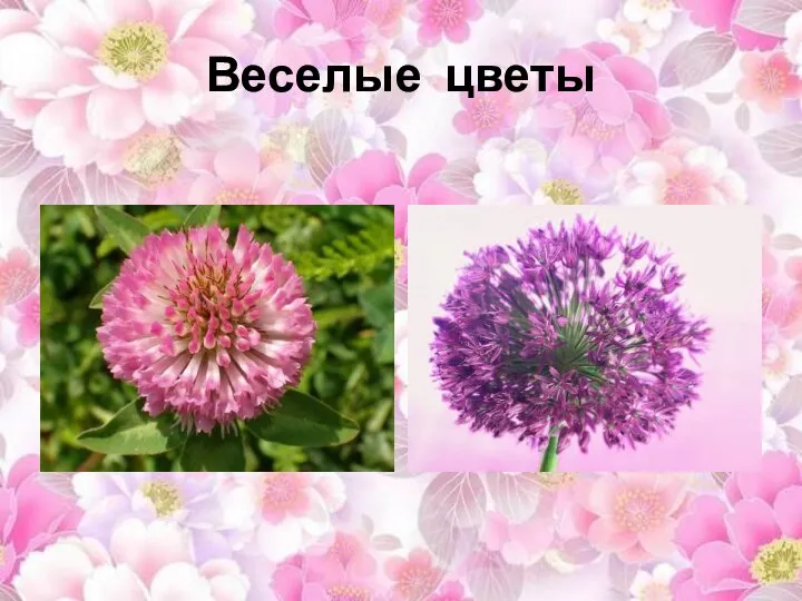 Веселые цветы