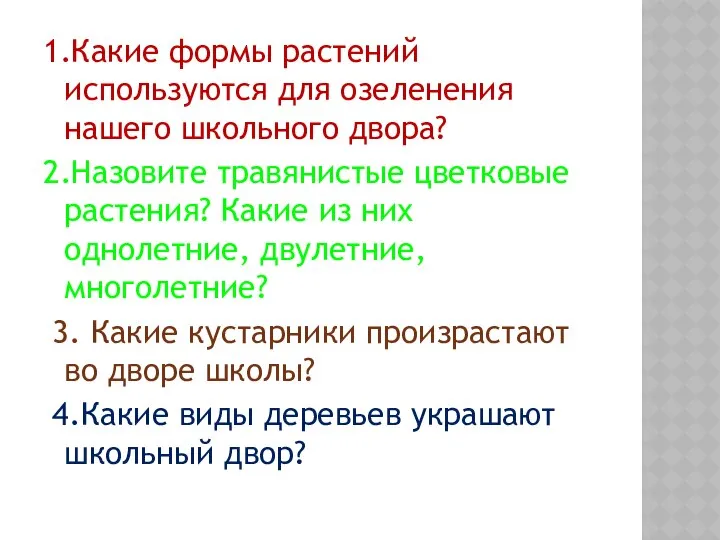 1.Какие формы растений используются для озеленения нашего школьного двора? 2.Назовите травянистые