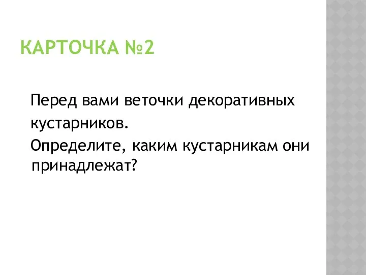 КАРТОЧКА №2 Перед вами веточки декоративных кустарников. Определите, каким кустарникам они принадлежат?