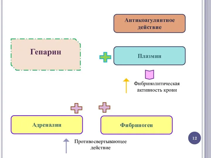 Гепарин Антикоагулянтное действие Плазмин Фибринолитическая активность крови Адреналин Фибриноген Противосвертывающее действие