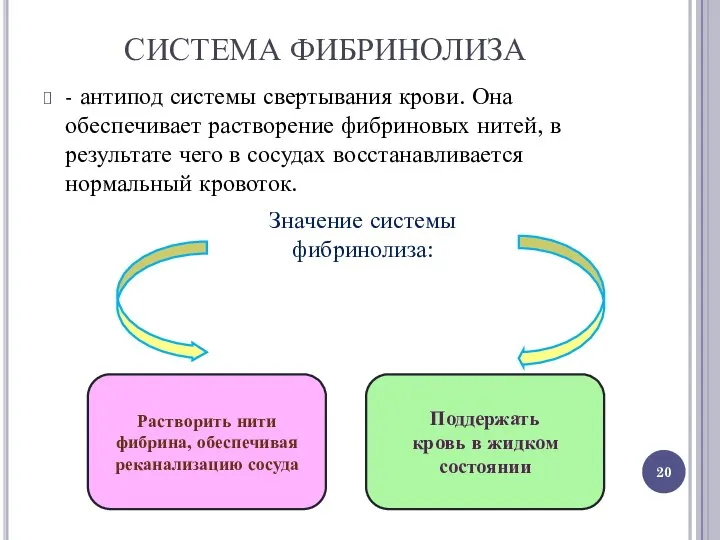 СИСТЕМА ФИБРИНОЛИЗА - антипод системы свертывания крови. Она обеспечивает растворение фибриновых