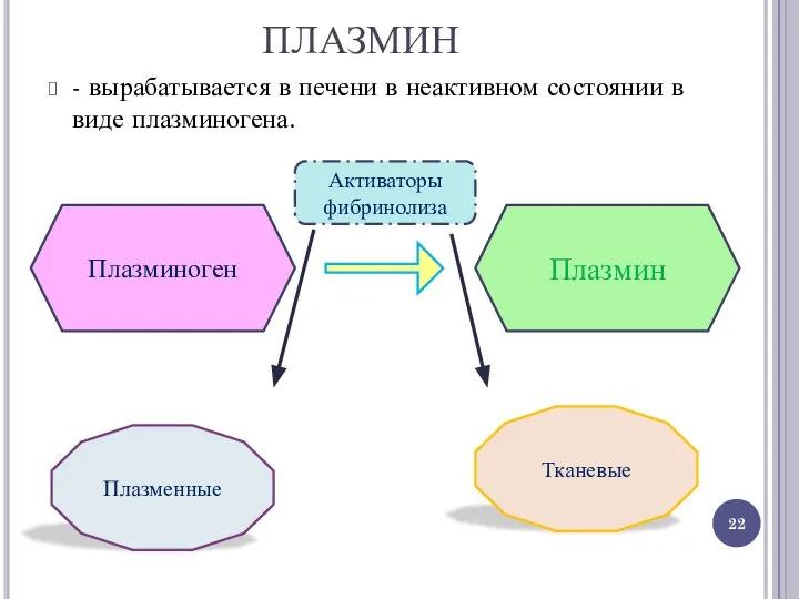 ПЛАЗМИН - вырабатывается в печени в неактивном состоянии в виде плазминогена.