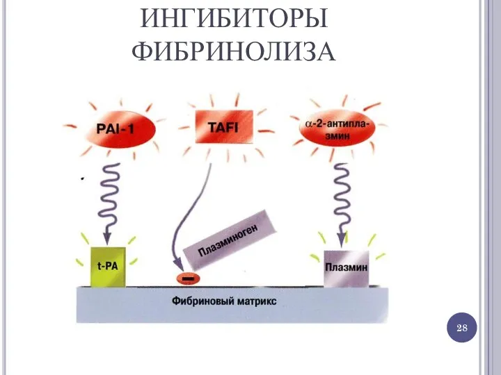 ИНГИБИТОРЫ ФИБРИНОЛИЗА