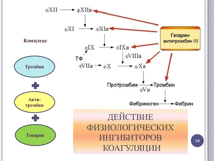 Комплекс Тромбин Анти-тромбин Гепарин ДЕЙСТВИЕ ФИЗИОЛОГИЧЕСКИХ ИНГИБИТОРОВ КОАГУЛЯЦИИ
