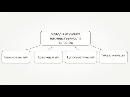 Биохимический Методы изучения наследственности человека Близнецовый Цитогенетический Генеалогический