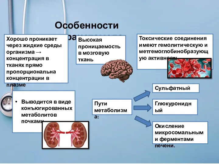 Выводится в виде конъюгированных метаболитов почками Особенности парацетамола Хорошо проникает через