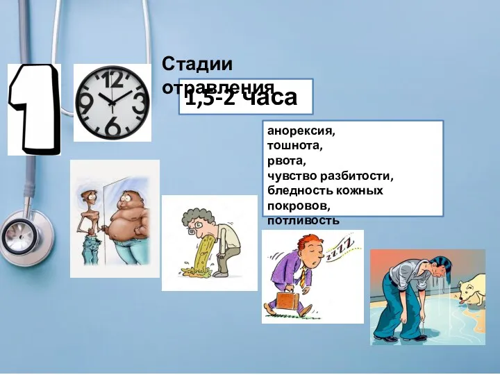 1,5-2 часа Стадии отравления анорексия, тошнота, рвота, чувство разбитости, бледность кожных покровов, потливость