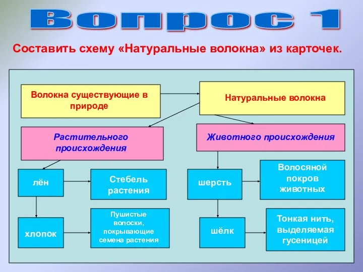 Вопрос 1 Волокна существующие в природе Натуральные волокна Растительного происхождения Животного