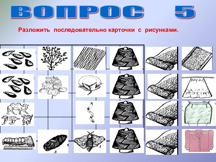 ВОПРОС 5 Разложить последовательно карточки с рисунками.