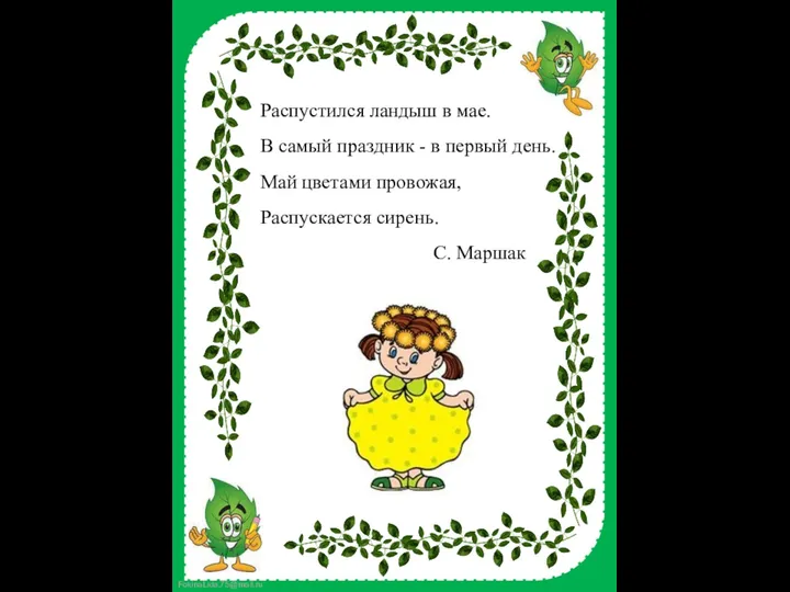 Распустился ландыш в мае. В самый праздник - в первый день.