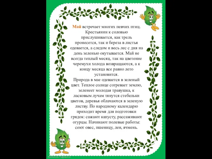 Май встречает многих певчих птиц. Крестьянин к соловью прислушивается, как трель