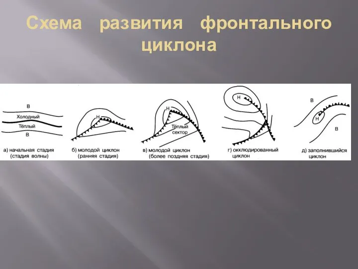 Схема развития фронтального циклона