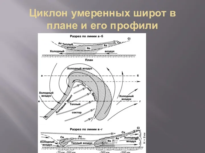 Циклон умеренных широт в плане и его профили