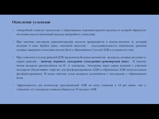 Окисление углеводов Анаэробный гликолиз происходит с образованием пировиноградной кислоты из которой