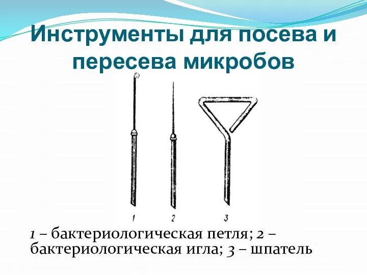 Инструменты для посева и пересева микробов 1 – бактериологическая петля; 2