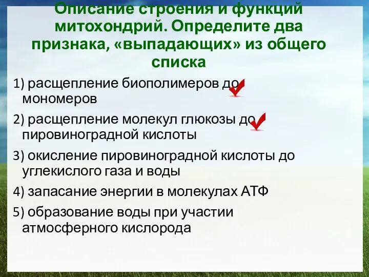 Описание строения и функций митохондрий. Определите два признака, «выпадающих» из общего