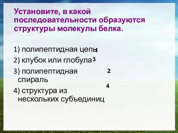 Установите, в какой последовательности образуются структуры молекулы белка. 1) полипептидная цепь