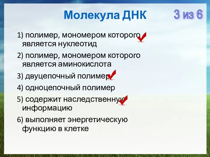 Молекула ДНК 1) полимер, мономером которого является нуклеотид 2) полимер, мономером